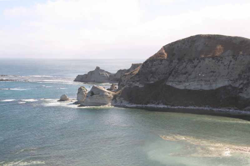 Nieuw-Zeeland 2011 - 1154